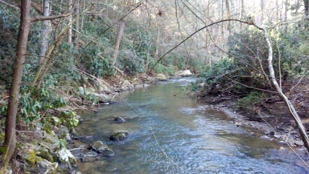 Reems Creek Views and West Facing Mountain Views