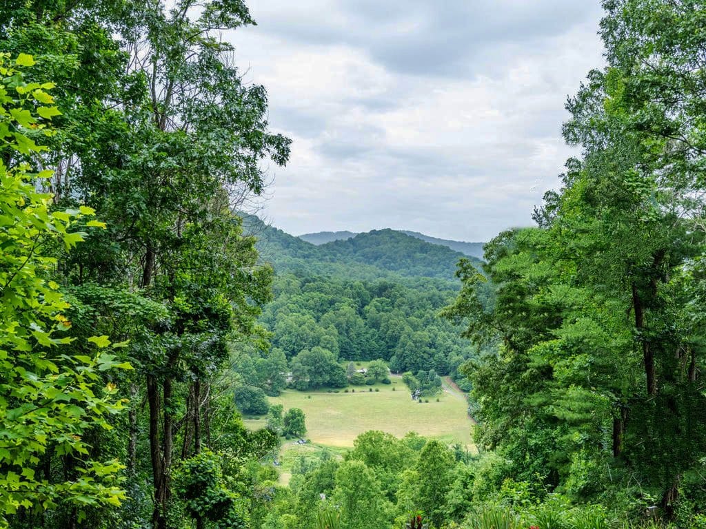 Views from 733 Bolens Creek Rd, Burnsville, an NC mountain cabin for sale.