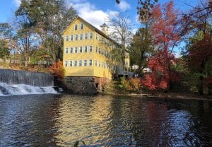 Fine bed and breakfasts airbnb properties