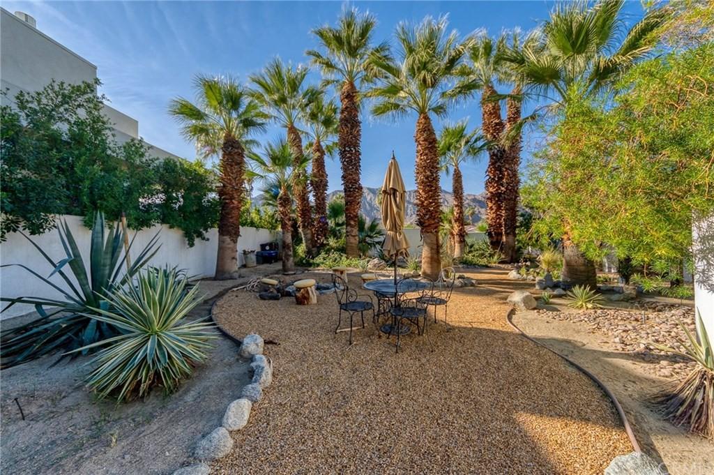 enormous palms at Unique La Quinta Home