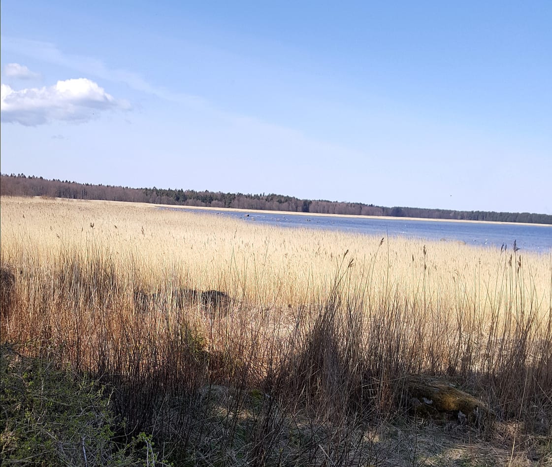 Estonia Waterfront Cottage