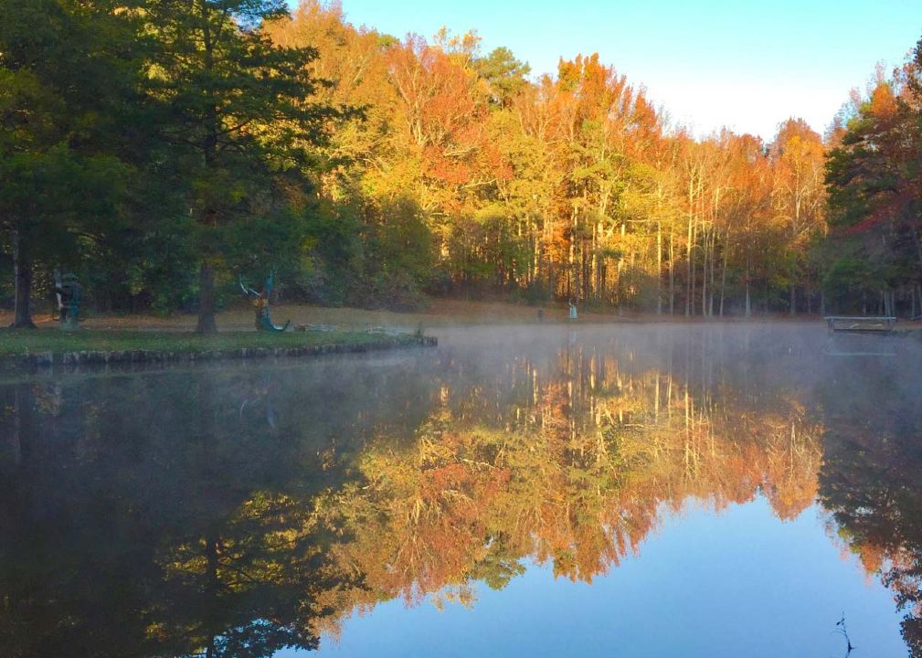 8 Cabins on 120 Lakefront Acres