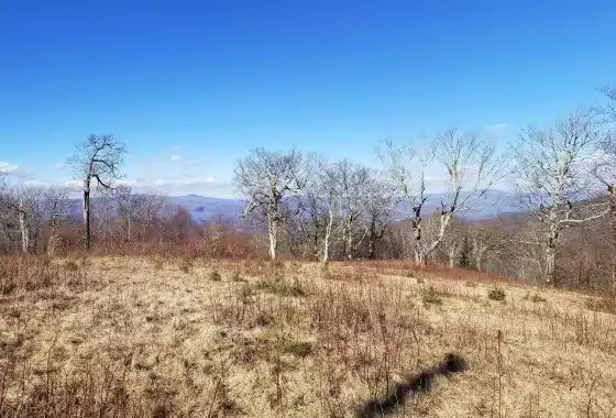 Panoramic views from Ogle Meadows nc high elevation land.