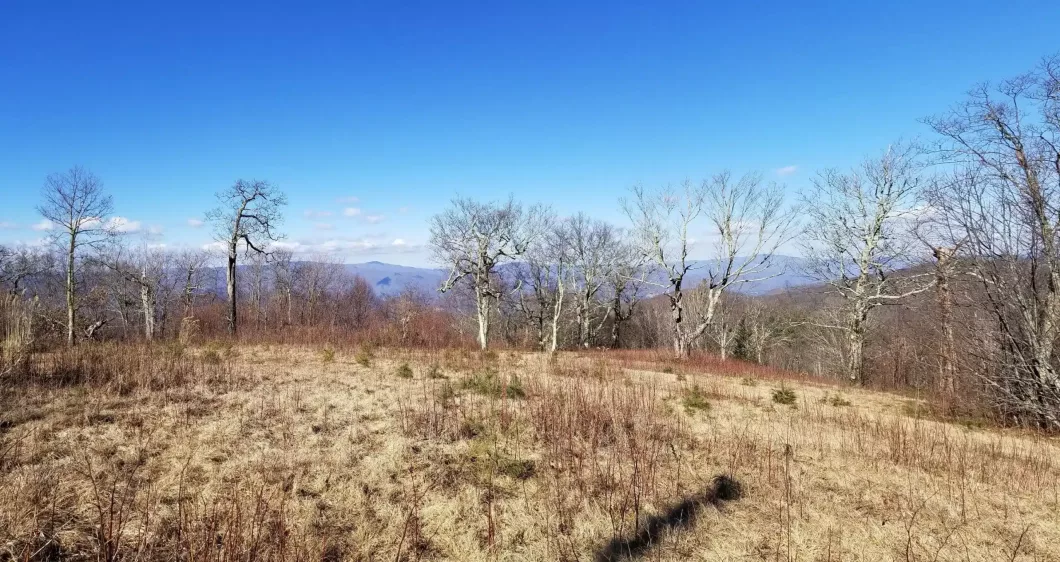 Panoramic views from Ogle Meadows nc high elevation land.