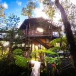 Hawaii Volcano Treehouse with walkways.