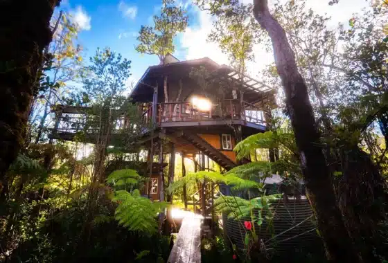 Hawaii Volcano Treehouse with walkways.