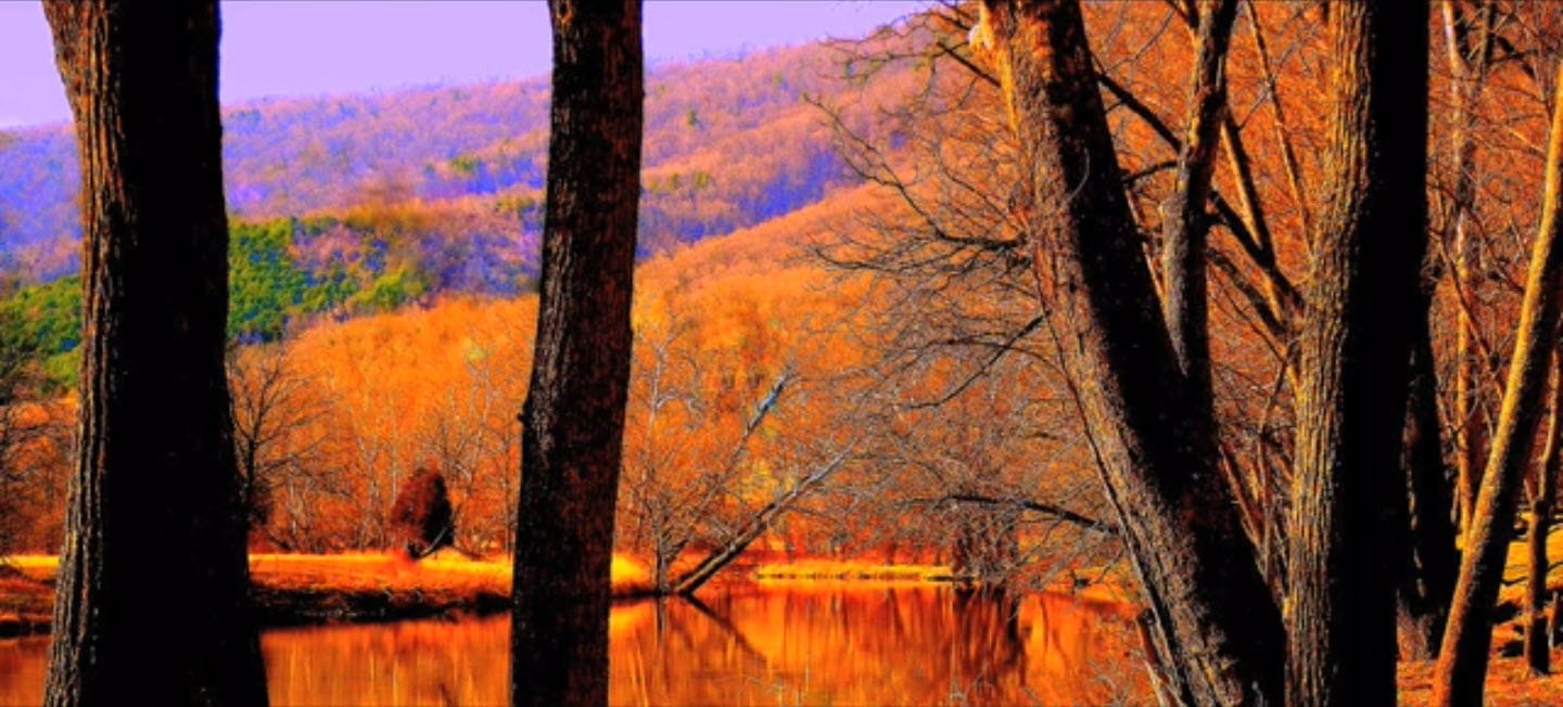 Bane’s Mill Dam