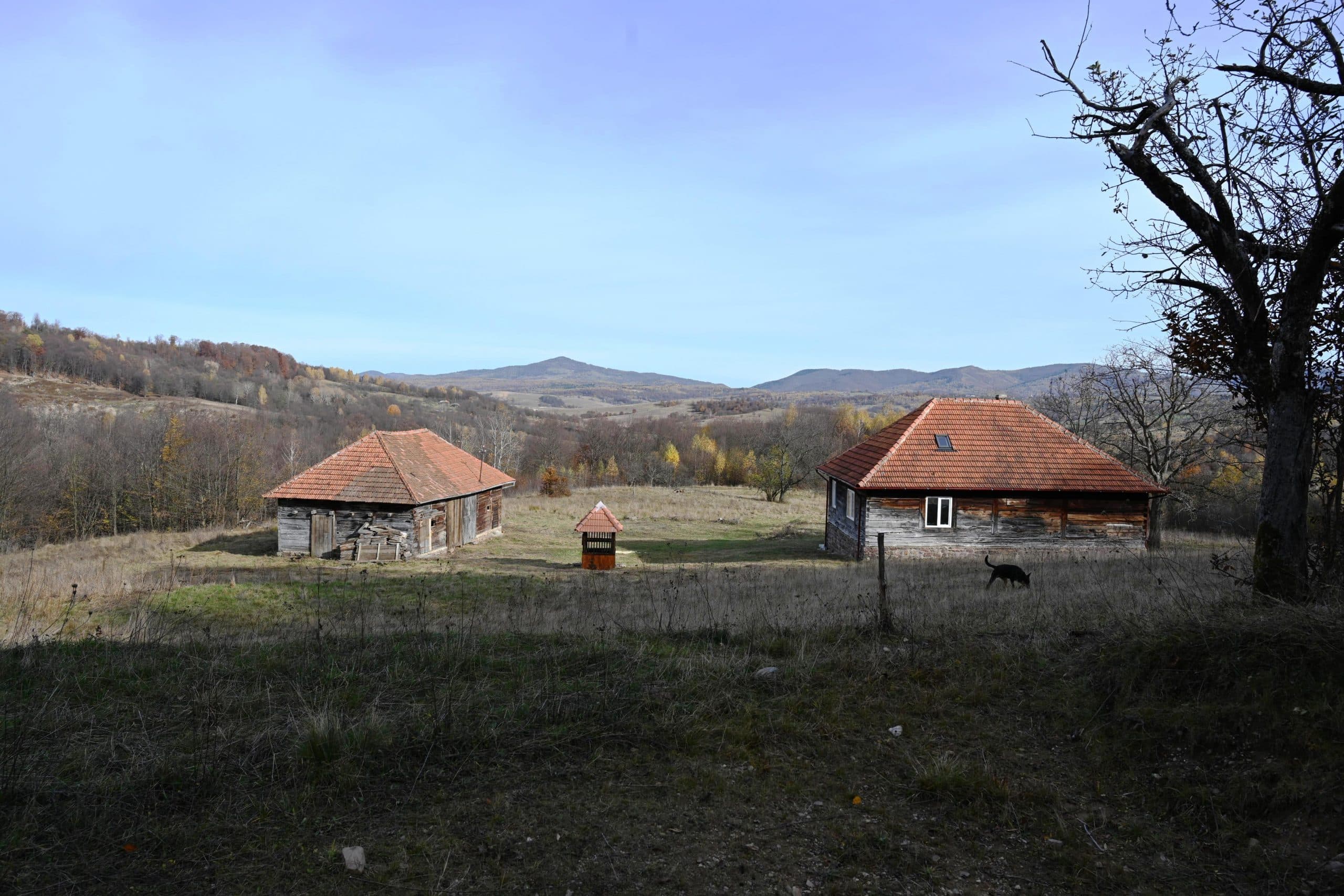 Romanian Structures for Relocation